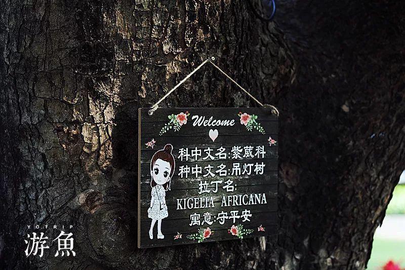 济南艺考生文化课学校价格