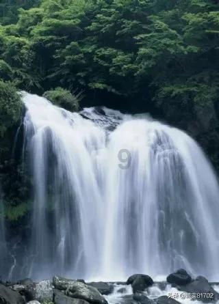 包献华与我市代表团代表共同审议自治区政府工作报告